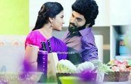 2018-ல் 'செம்பருத்தி' கார்த்திக் - சபானாவை மிரட்டிய கேள்வி!